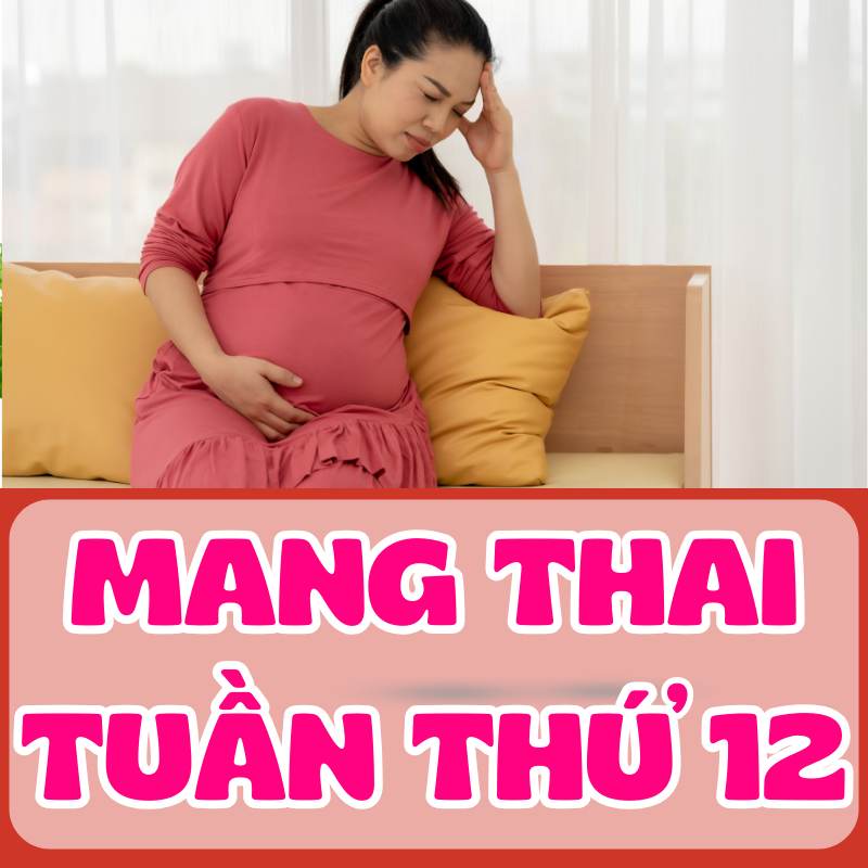 Triệu chứng khi mang thai tuần thứ 12